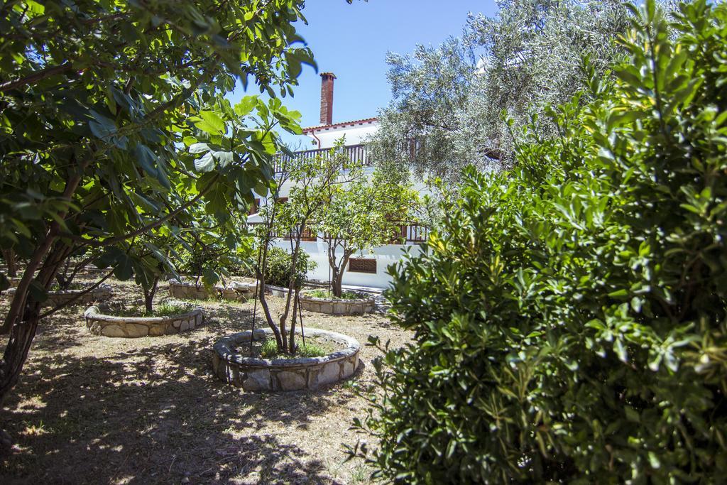 Naftilos Skiathos Kültér fotó
